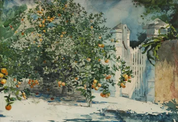 Laranjeiras e portão